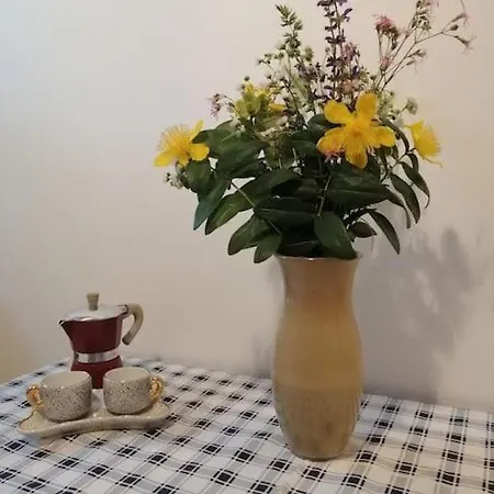 Il Maggiociondolo Apartamento Fontaniva